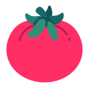 tomate icon