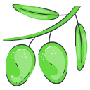 aceitunas icon