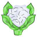 coliflor icon