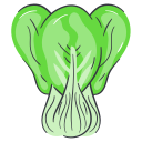 pak choi (bok choi) icon