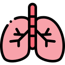 Pulmones icon