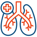 pulmones icon