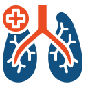 pulmones icon