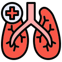 pulmones icon