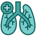 pulmones icon