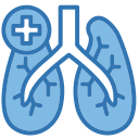 pulmones icon