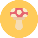 champiñón icon