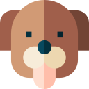 Perro icon