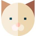 Gato icon