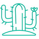 cactus icon