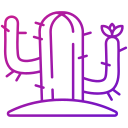 cactus icon