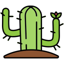 cactus icon