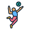 voleibol icon