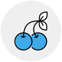 cereza icon