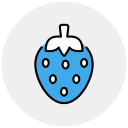 fresa icon