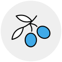 aceituna icon