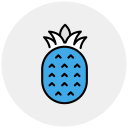 piña icon