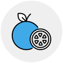 naranja icon