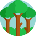 árbol icon