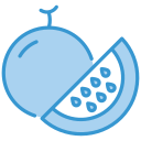 melón icon