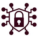 seguridad cibernética icon