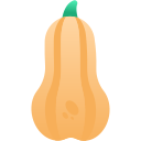 calabaza icon