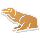 komodo icon