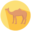 camello icon