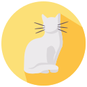 gato icon