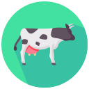 vaca icon