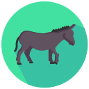 burro icon