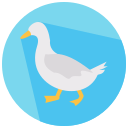 pato icon