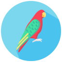 loro icon