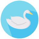 cisne icon