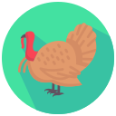 pavo icon