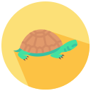 tortuga icon