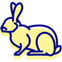 conejo icon