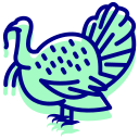 pavo icon