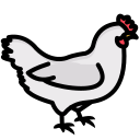 pollo icon