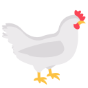 pollo icon