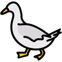 pato icon