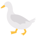 pato icon