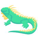 iguana 