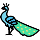 pavo real icon