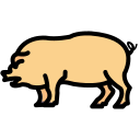 cerdo icon