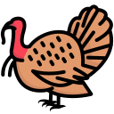 pavo icon