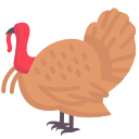 pavo icon