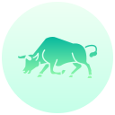 toros icon