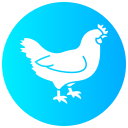 pollo icon