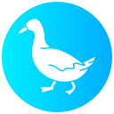 pato icon